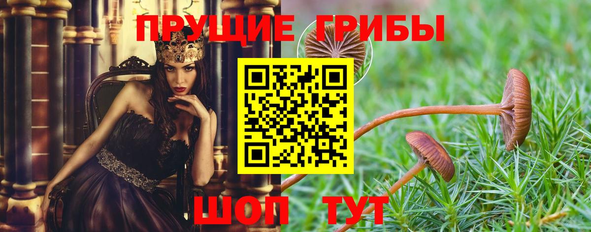 Псилоцибиновые грибы MAGIC MUSHROOMS Новоалександровск